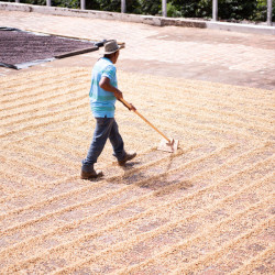 Séchage sur patios en béton