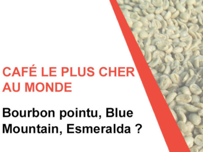 Café le plus cher du monde : Blue Mountain ou Bourbon pointu ?