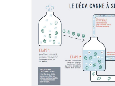 Le café décaféiné à la canne à sucre - décaféination naturelle